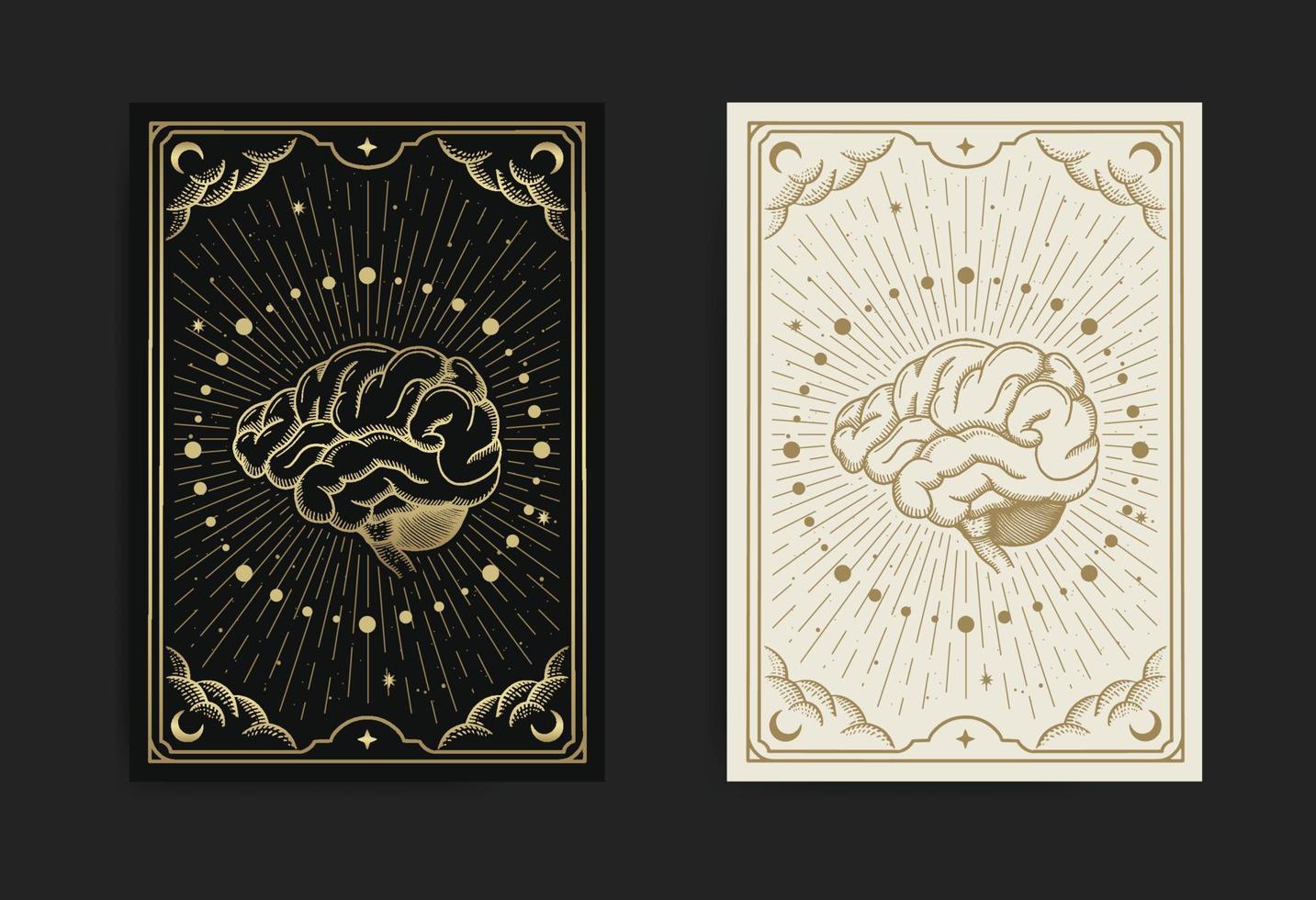 The brain connected to the cosmic universe vector