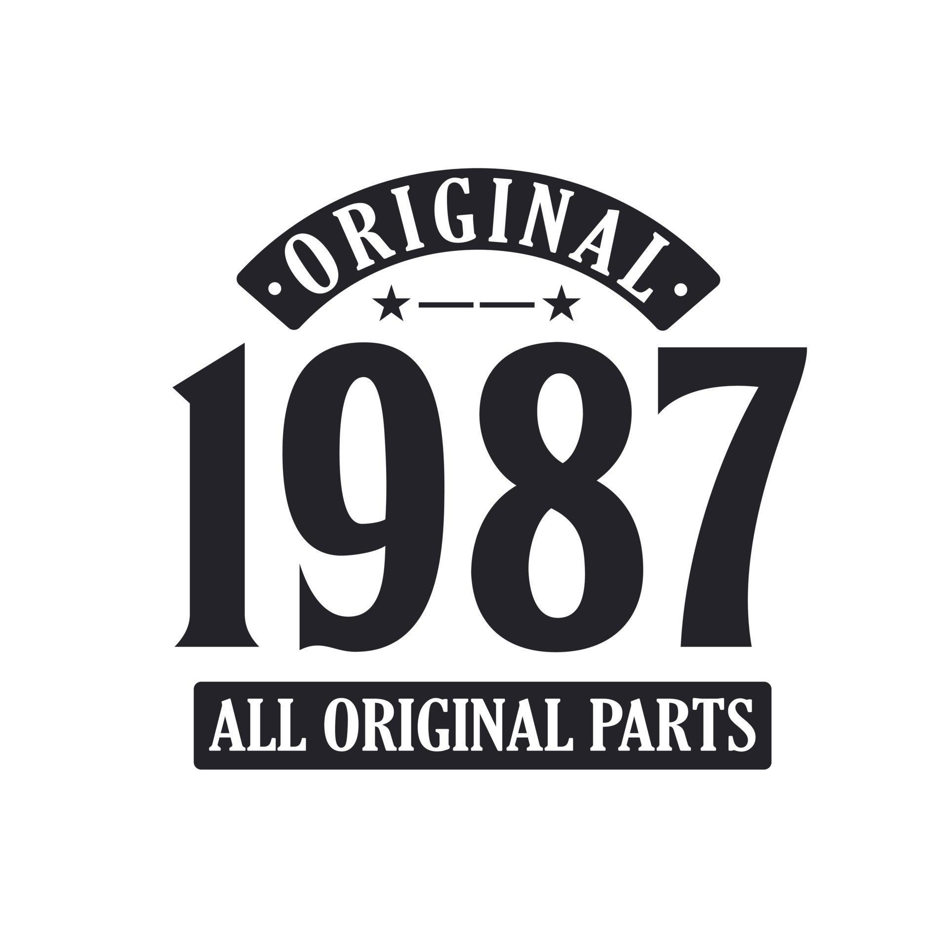Born in 1987 Vintage Retro Birthday, Original 1987 All Original Parts 10181718 Vector Art at