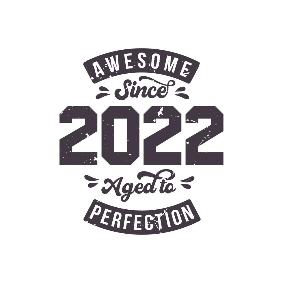 Born in 2022 Awesome Retro Vintage Birthday, Awesome since 2022 Aged to Perfection vector