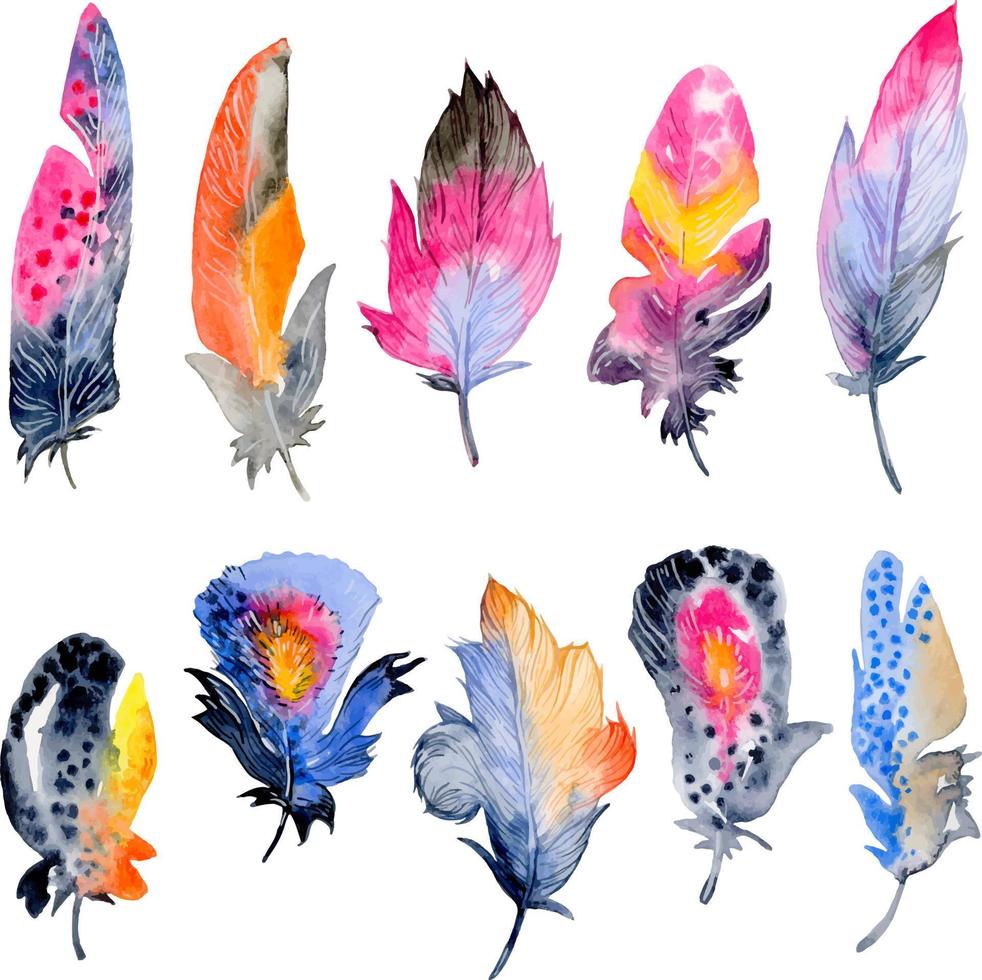 Bird feather element set. Hand drawn watercolor illustration. vector