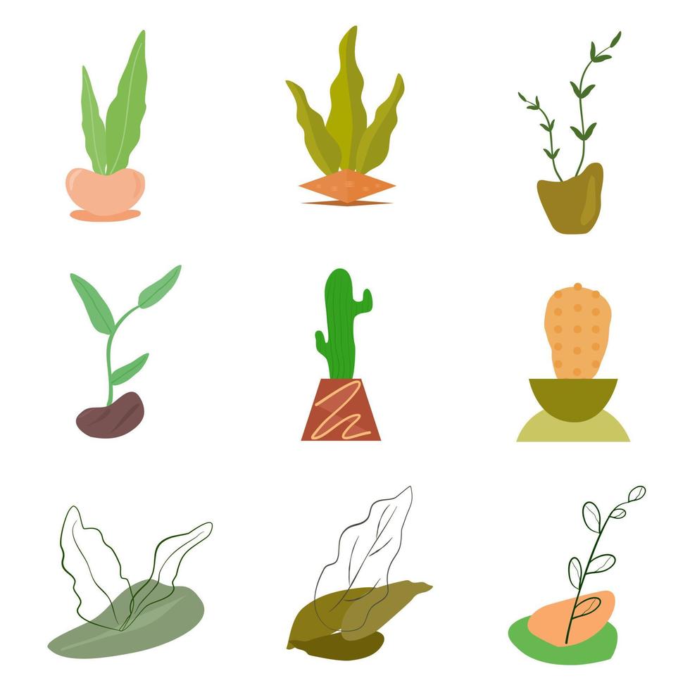 hola festival de primavera elementos de icono botánico de planta estética para ilustración de vector de fondo abstracto decorativo