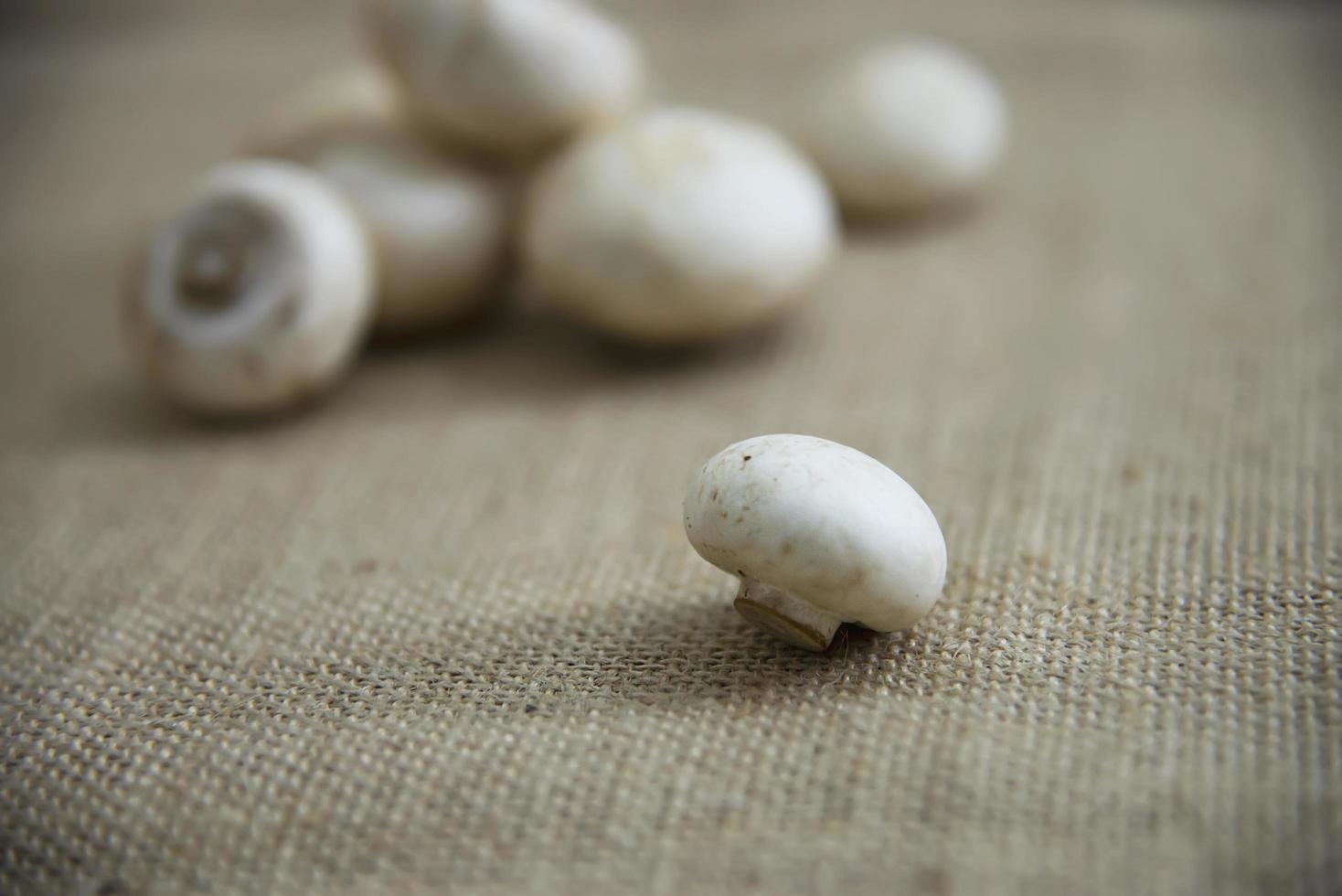 Fresh champignon mushroom vegetable in the kitchen - fresh mushroom vegetable cooking concept photo