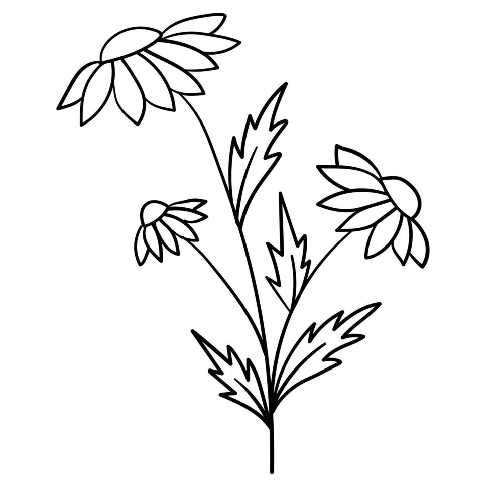 Doodle flower branch, cute and unusual bud, can be used to decorate postcards, business cards or as an element for design vector