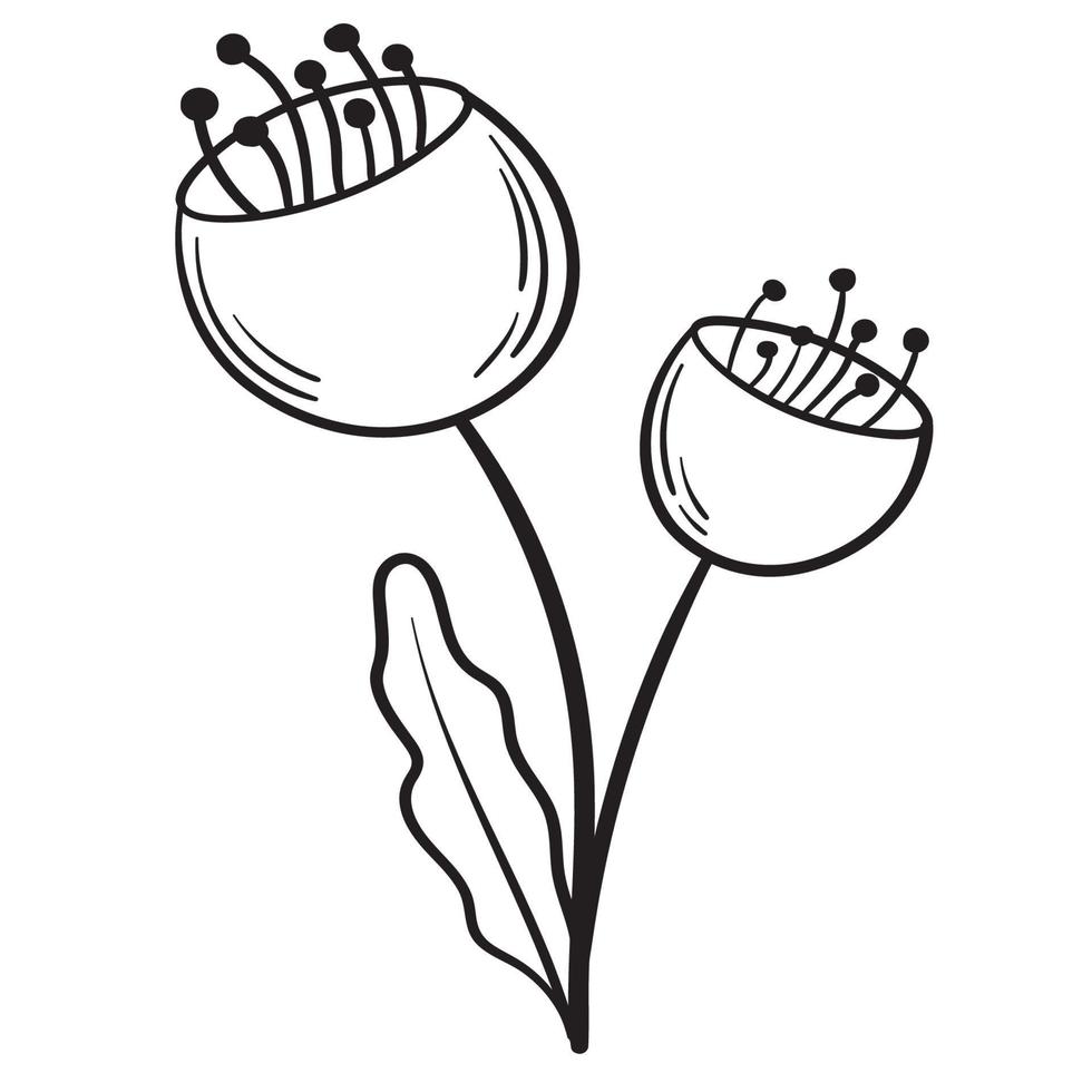 Doodle flower branch, cute and unusual bud, can be used to decorate postcards, business cards or as an element for design vector