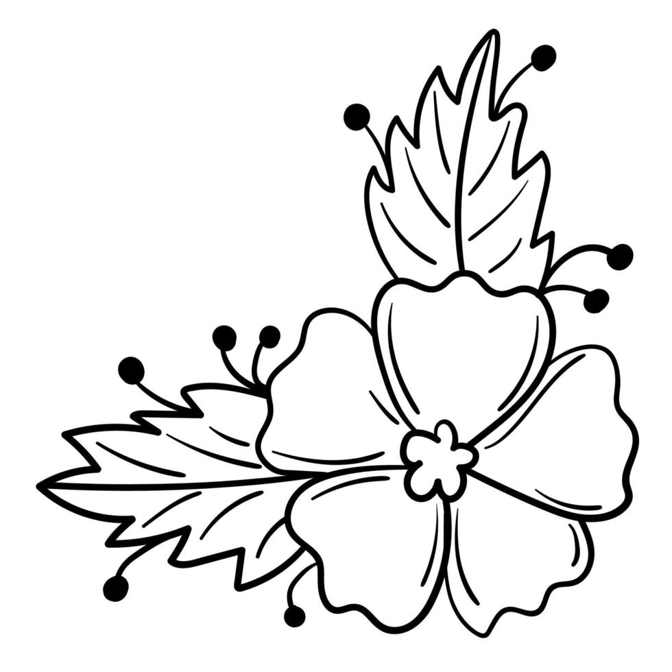 Botanical corner, ornament of flowers and leaves for decoration vector