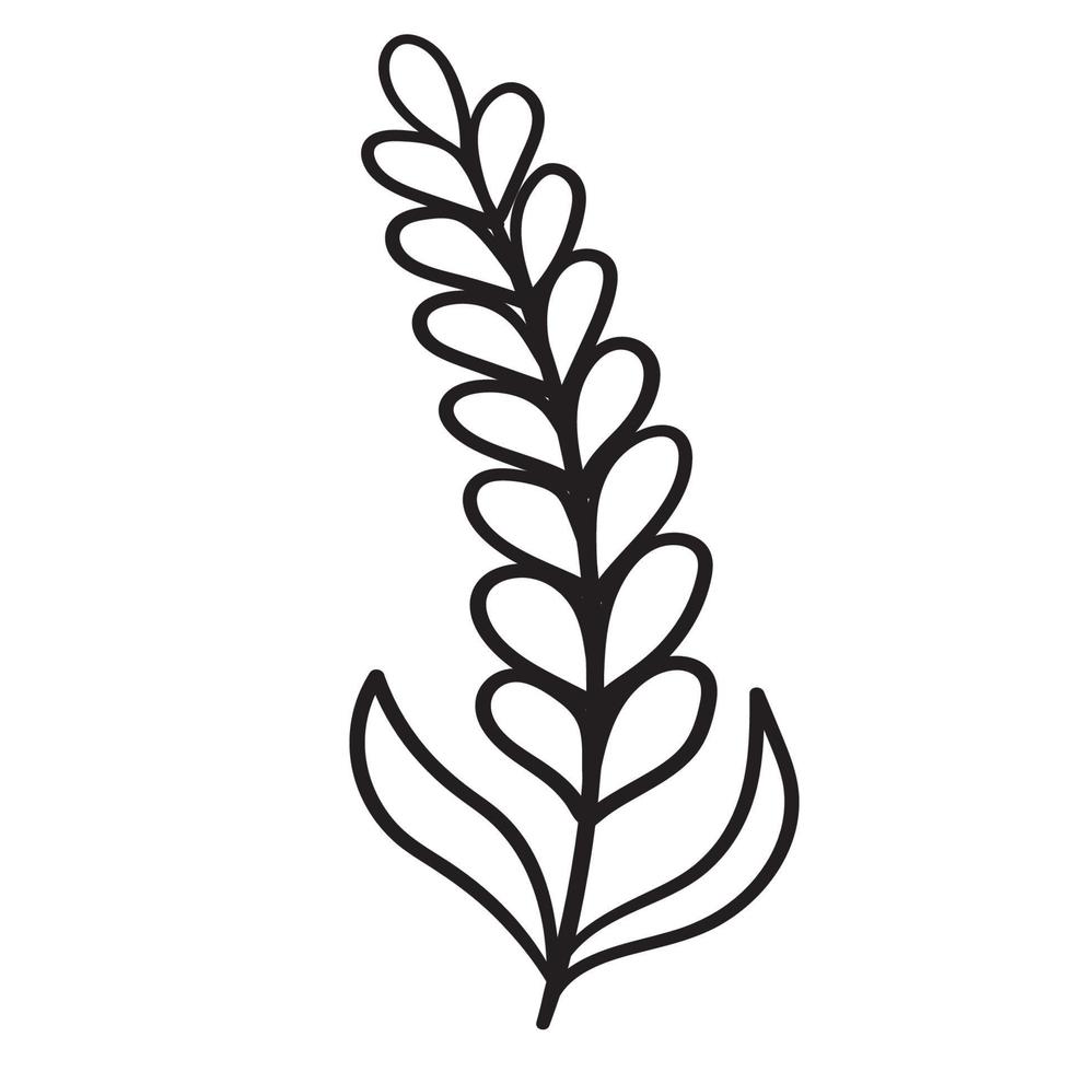 Doodle flower branch, cute and unusual bud, can be used to decorate postcards, business cards or as an element for design vector
