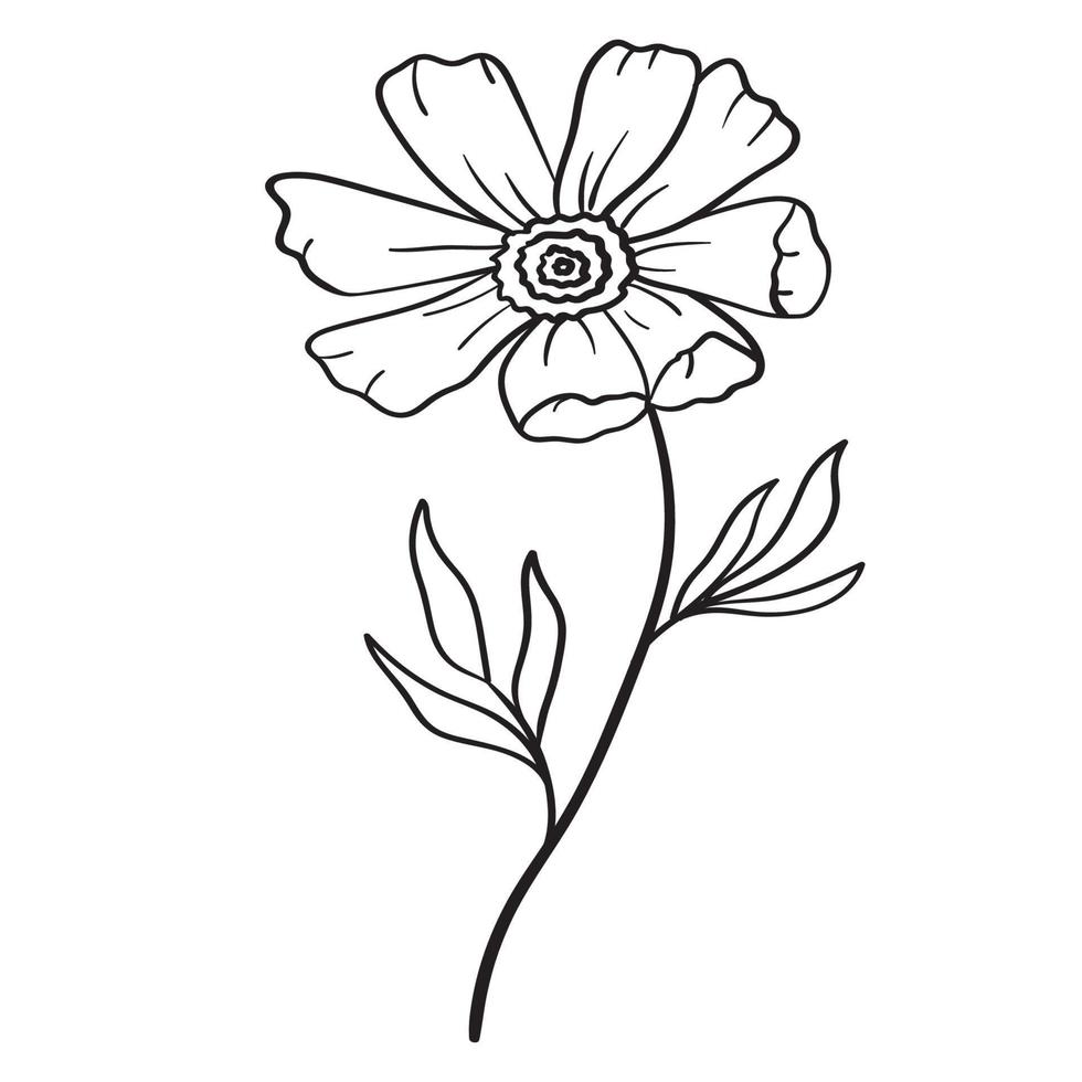 Doodle flower branch, cute and unusual bud, can be used to decorate postcards, business cards or as an element for design vector