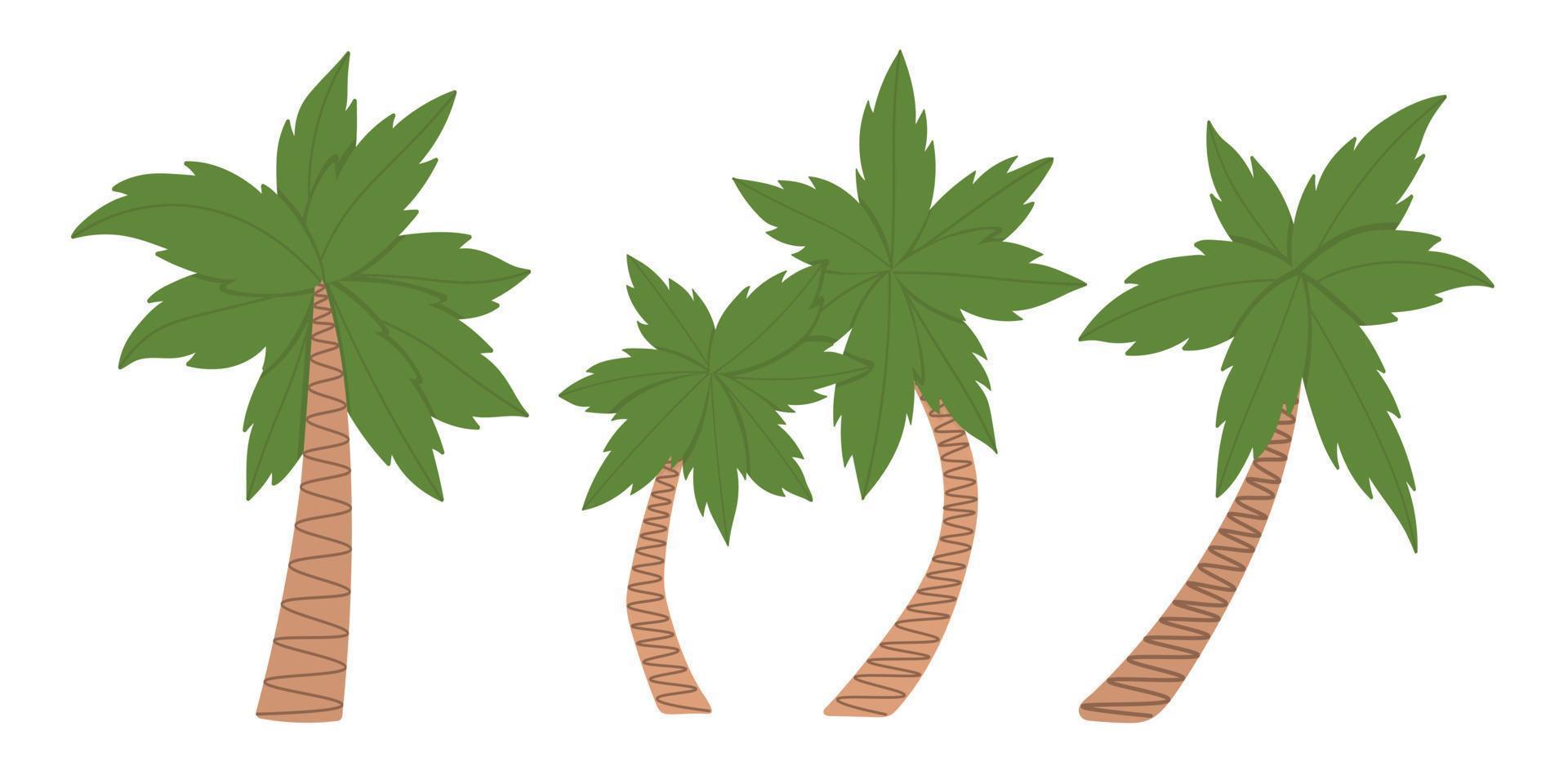 Tropical coconut tree. Doodle flat clipart. All objects are repainted. vector