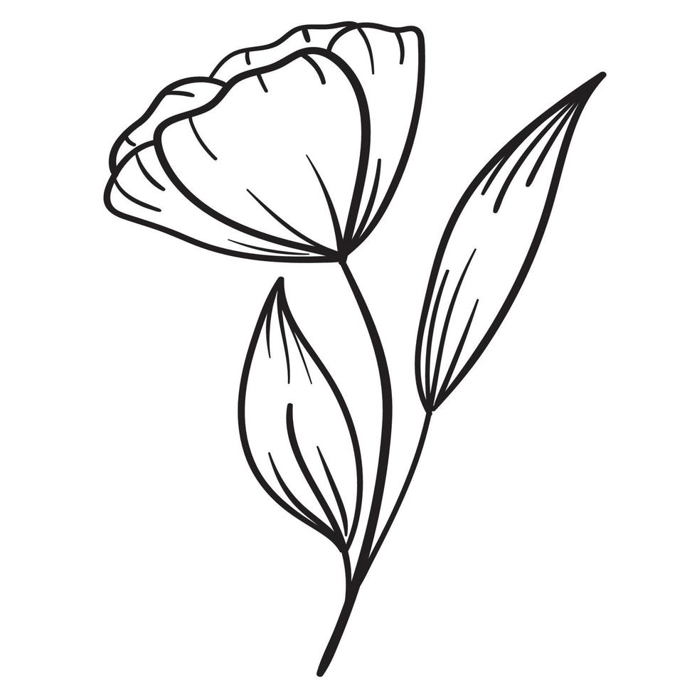 Doodle flower branch, cute and unusual bud, can be used to decorate postcards, business cards or as an element for design vector