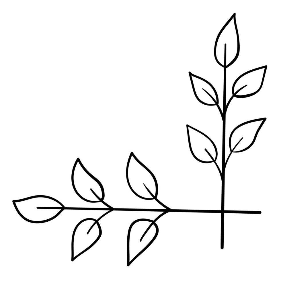 Botanical corner, ornament of flowers and leaves for decoration vector