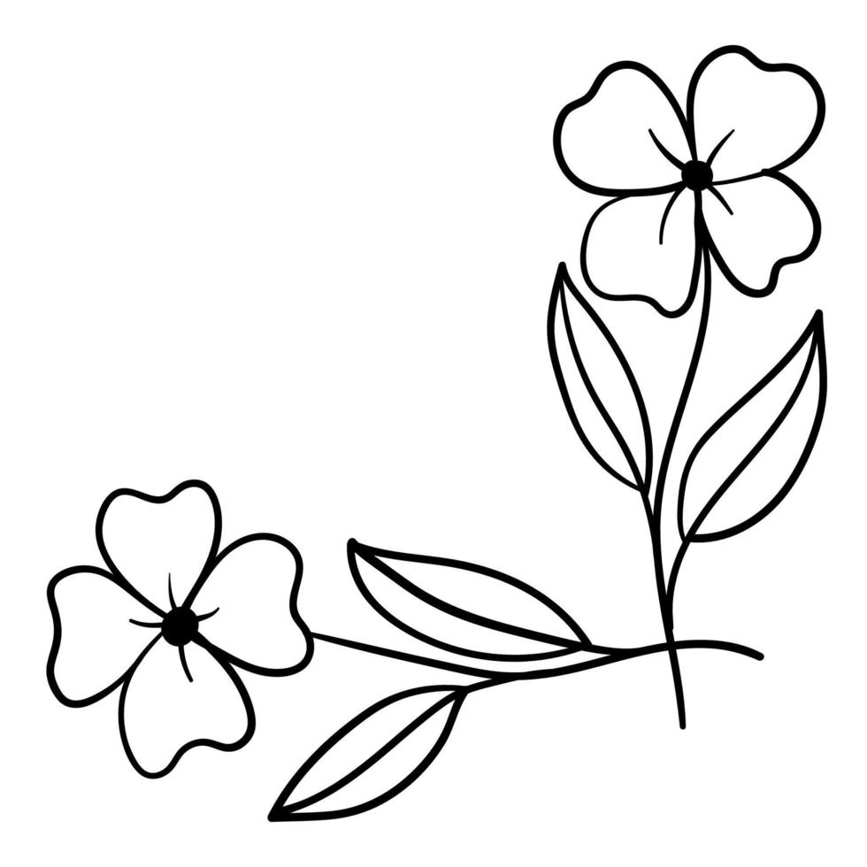 Botanical corner, ornament of flowers and leaves for decoration vector