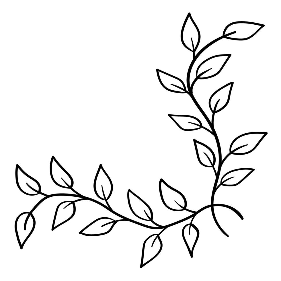 Botanical corner, ornament of flowers and leaves for decoration vector
