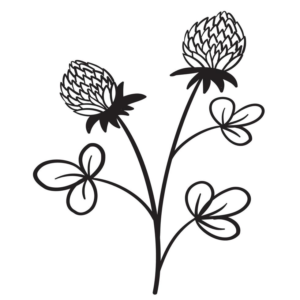 Doodle flower branch, cute and unusual bud, can be used to decorate postcards, business cards or as an element for design vector