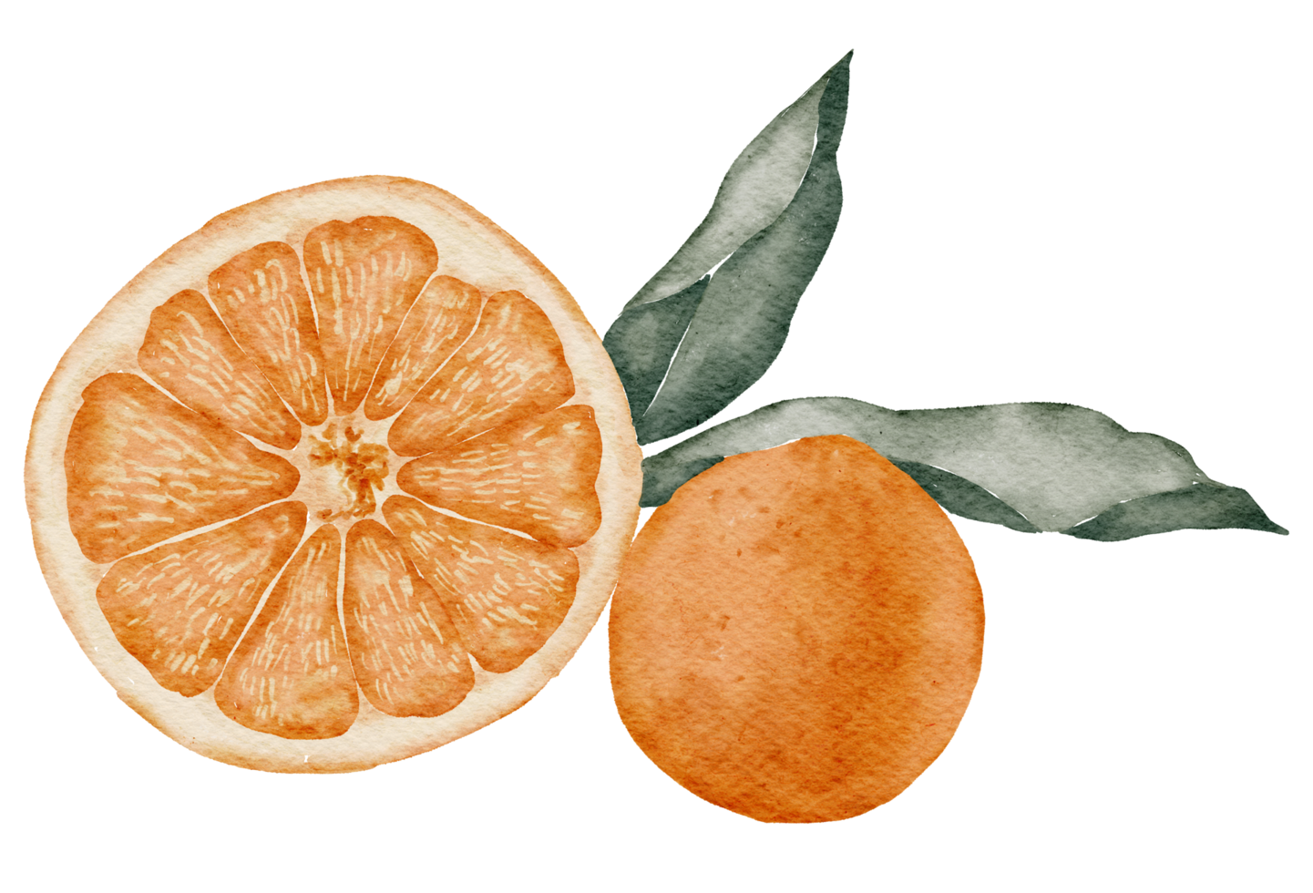 Orange watercolor Element png