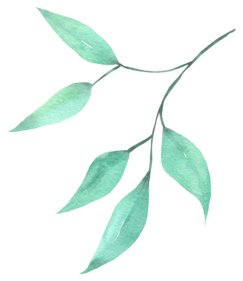 Green Leaf Element watercolor png