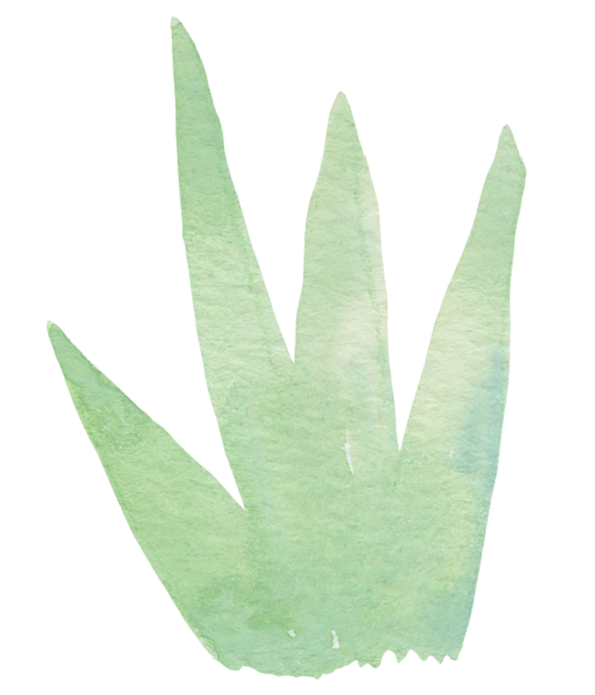 acuarela de elemento de hoja png