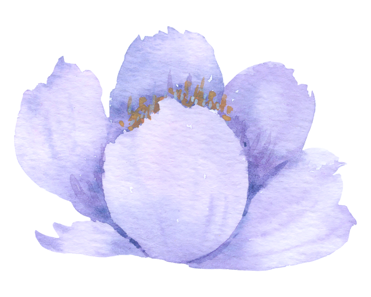 Free flor violeta acuarela flor de la boda 10186702 PNG with Transparent  Background