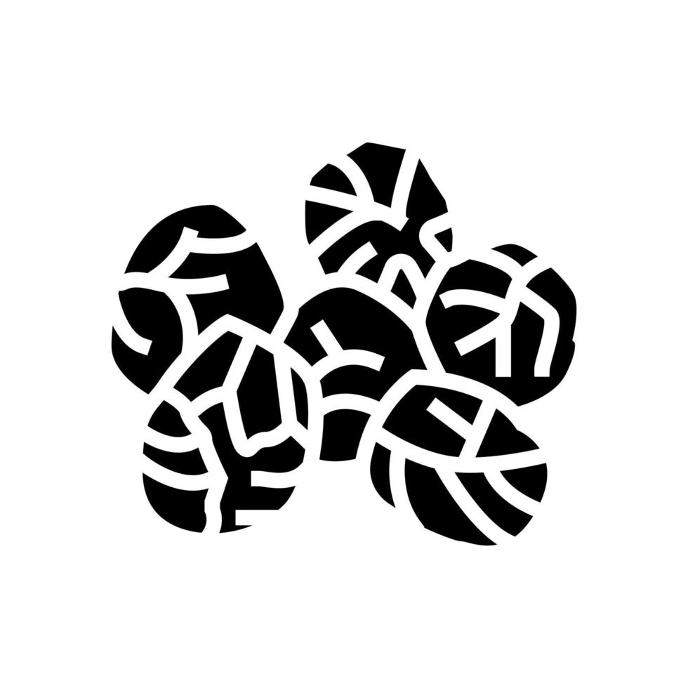 brussels cabbage glyph icon vector illustration