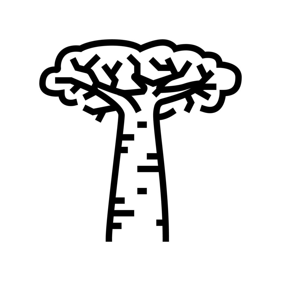 baobab africa tree line icon vector illustration