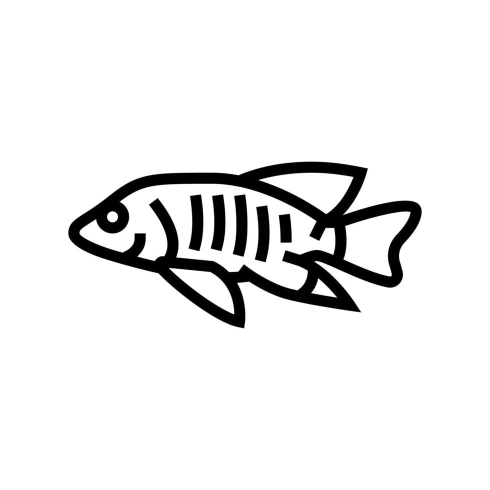 african cichlids line icon vector illustration