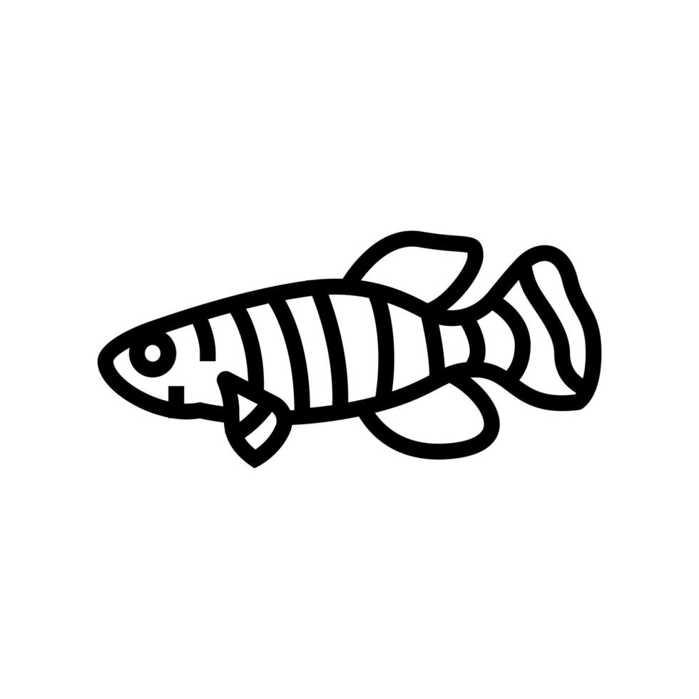 Ilustración de vector de icono de línea de peces de acuario killifish