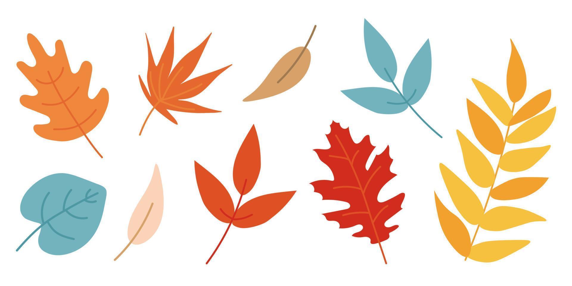 conjunto de hojas de otoño aislado sobre fondo blanco. estilo plano de dibujos animados simples. imágenes prediseñadas de ilustración vectorial. diseño para pegatinas, logotipo, web y aplicación móvil. elementos de diseño de hojas de otoño vector