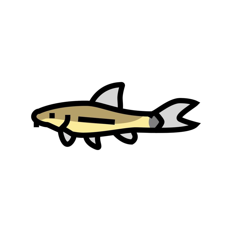 otocinclus fish color icon vector illustration