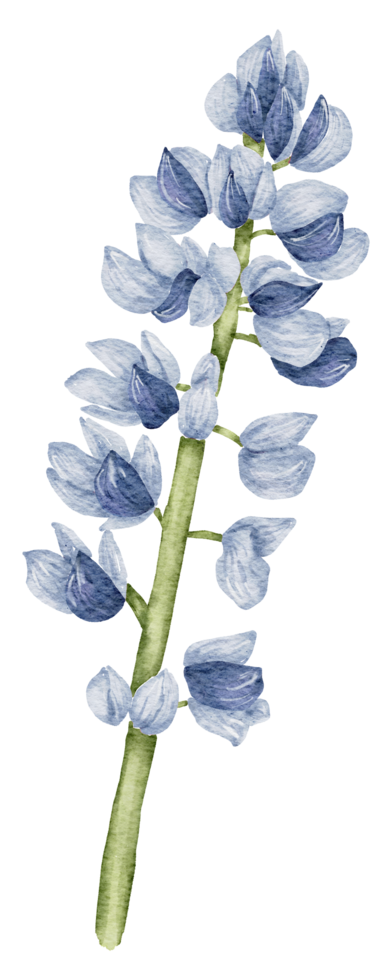 élément de fleur fleur de mariage aquarelle png