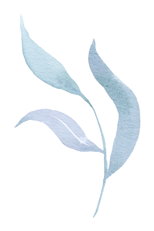 Green Leaf Element watercolor png