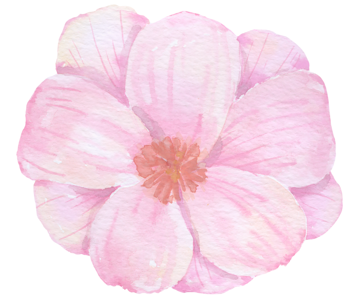 élément de fleur fleur de mariage aquarelle png