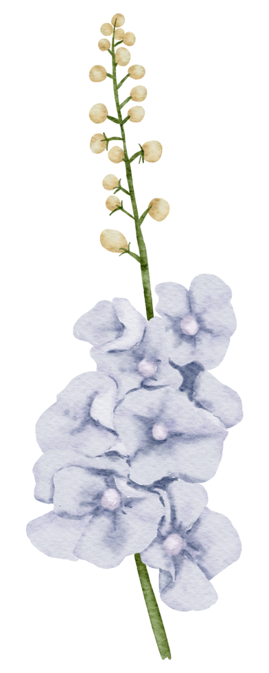 bloem element aquarel bruiloft bloem png