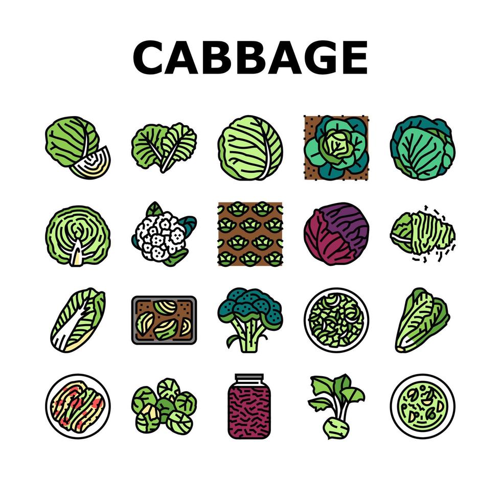 Cabbage Natural Vitamin Food Icons Set Vector