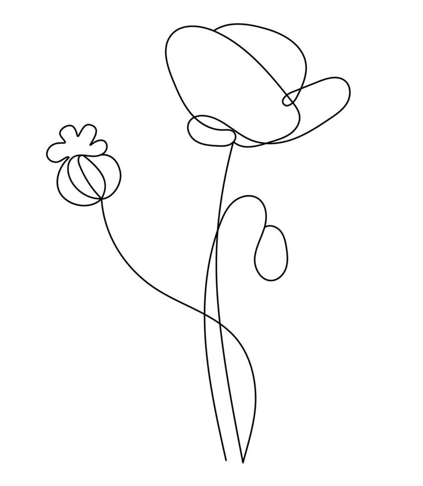 Poppy flower. Linear hand drawn minimalist drawing, continuous line. Vector illustration. Outline plant flower with bud and poppy head.