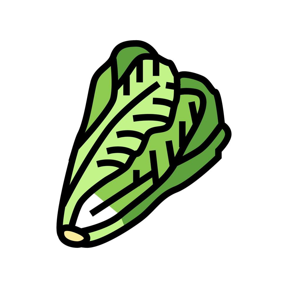 lechuga, col, color, icono, vector, ilustración vector