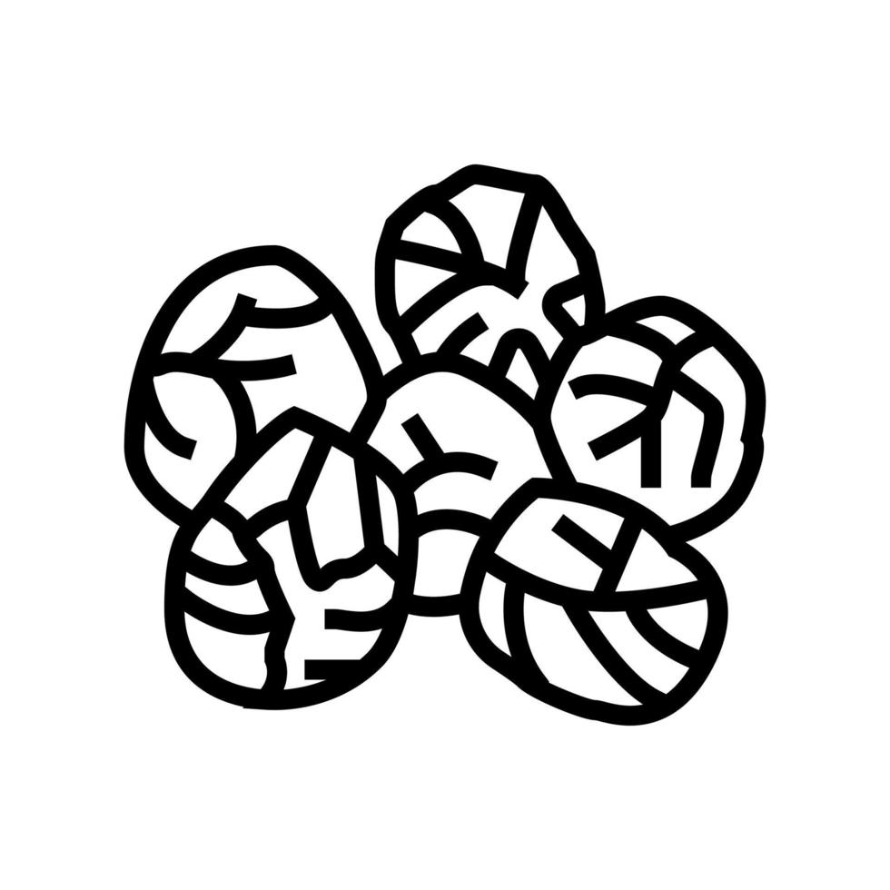 brussels cabbage line icon vector illustration