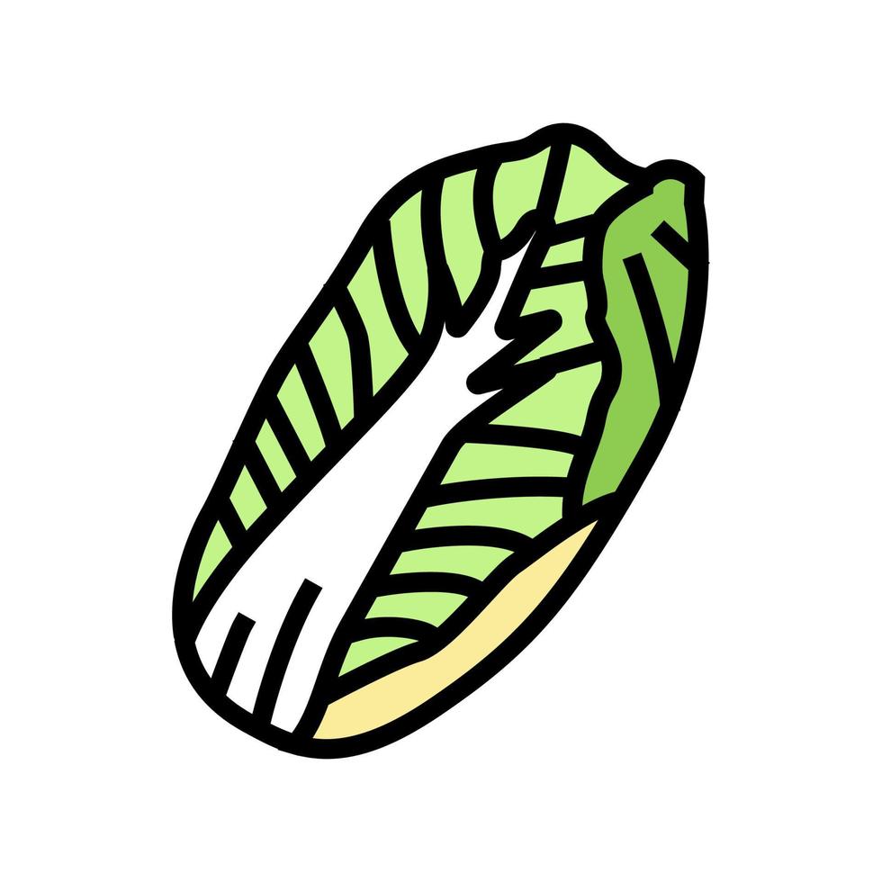 chinese cabbage color icon vector illustration