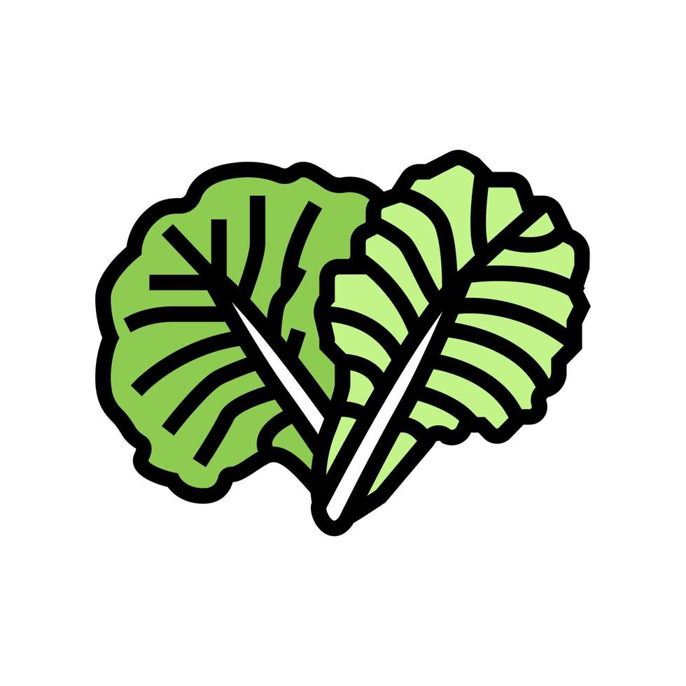 leaf cabbage color icon vector illustration