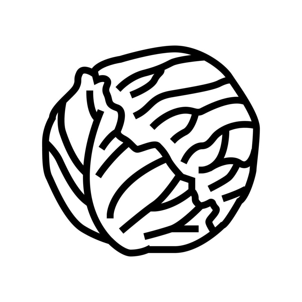 red cabbage line icon vector illustration