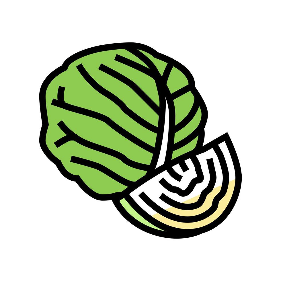 cabbage healthy vegetable color icon vector illustration