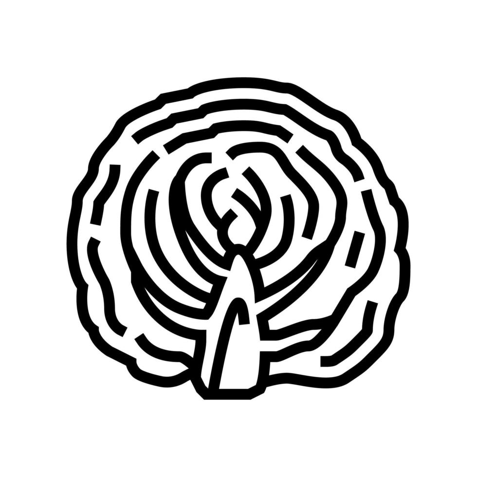 half of cabbage vegetable line icon vector illustration
