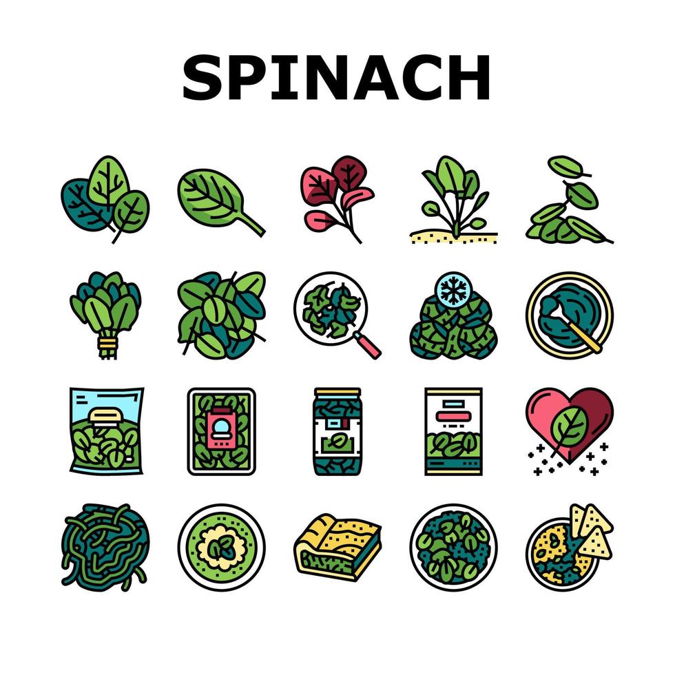 Spinach Healthy Eatery Ingredient Icons Set Vector