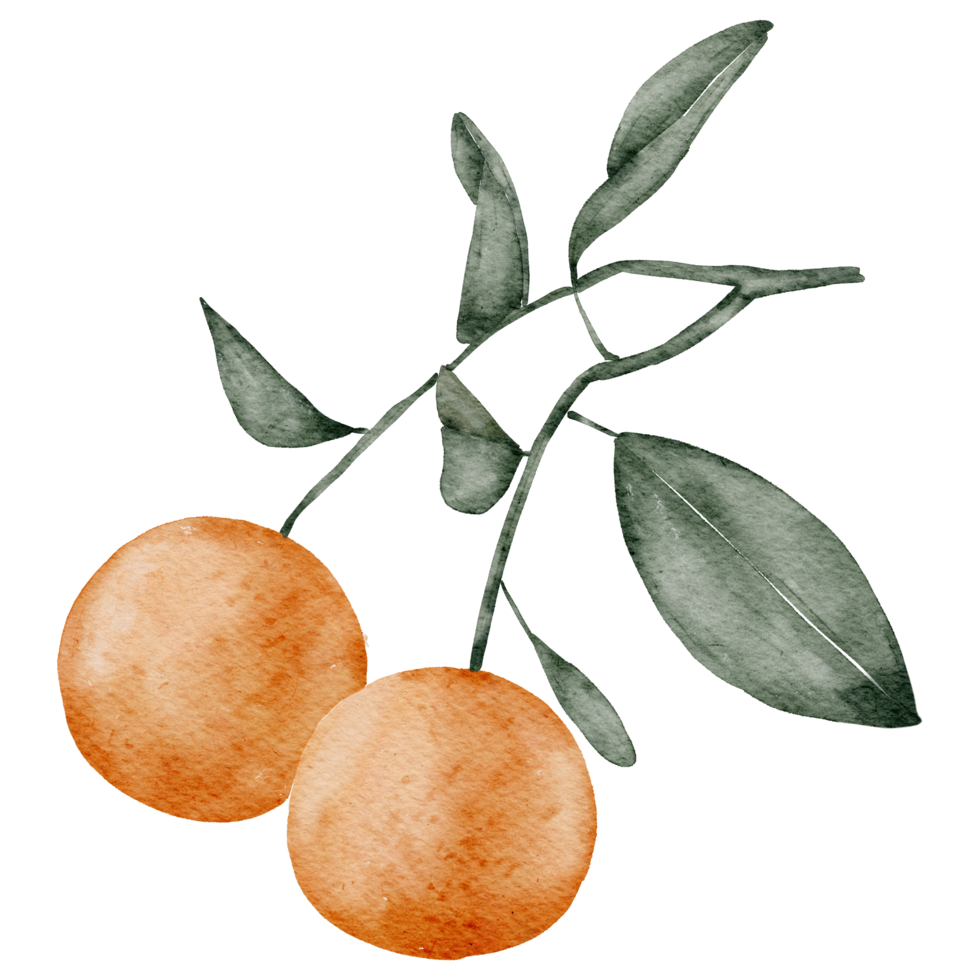 Orange watercolor Element png