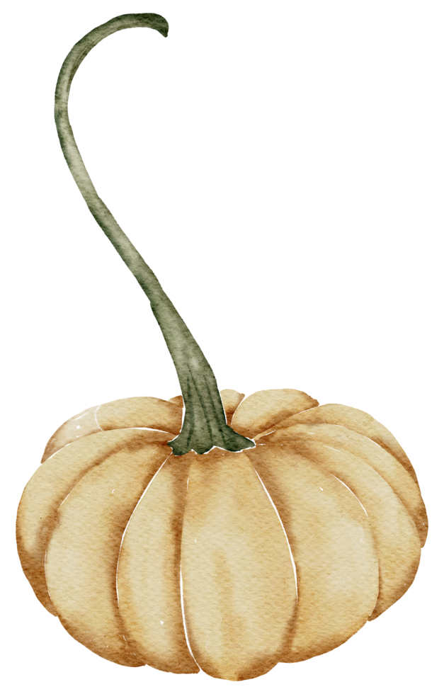 acuarela de calabaza de otoño png