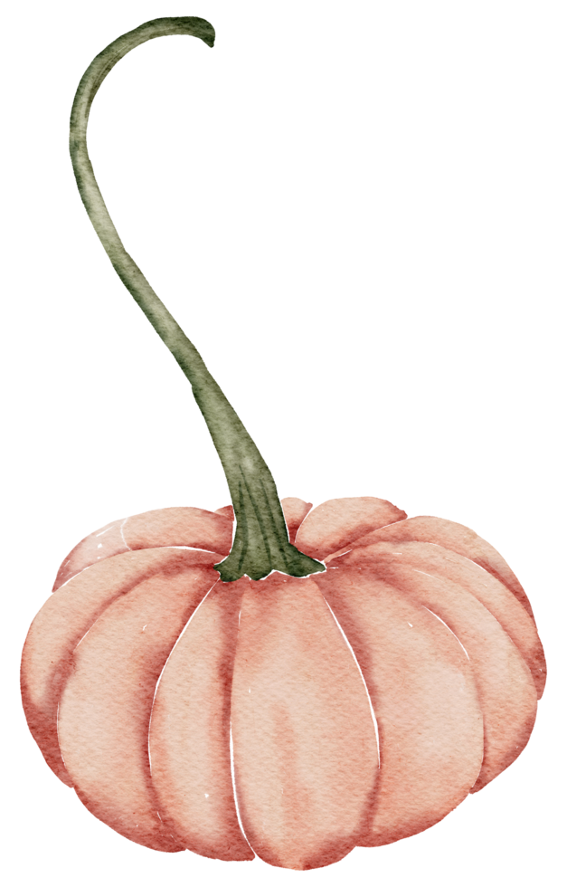 aquarelle de citrouille d'automne png