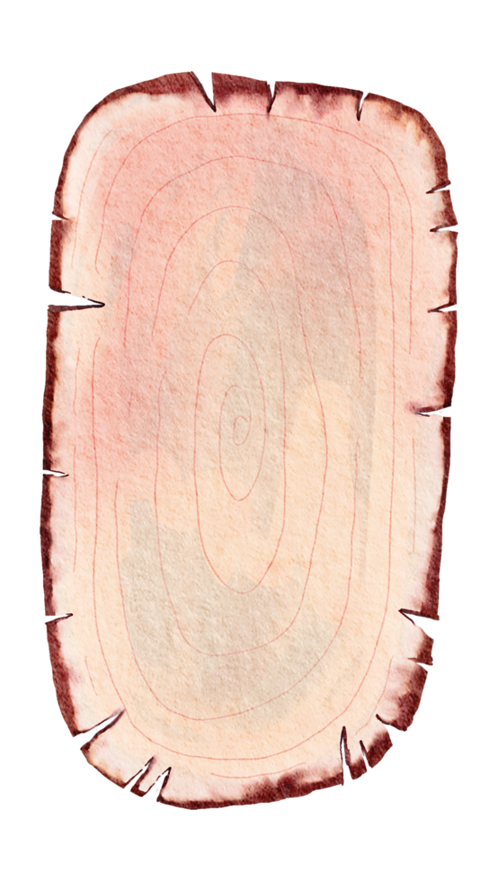 Christmas element watercolor png