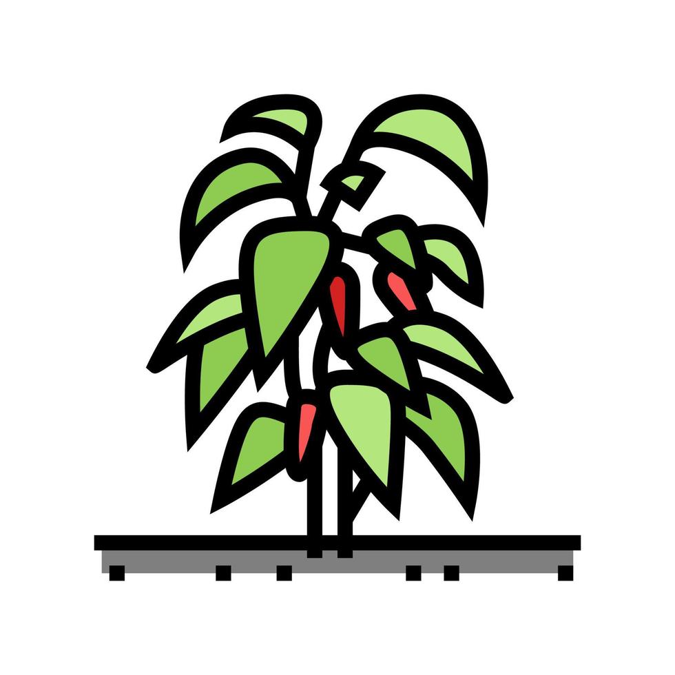 ilustración de vector de icono de color de chile de planta