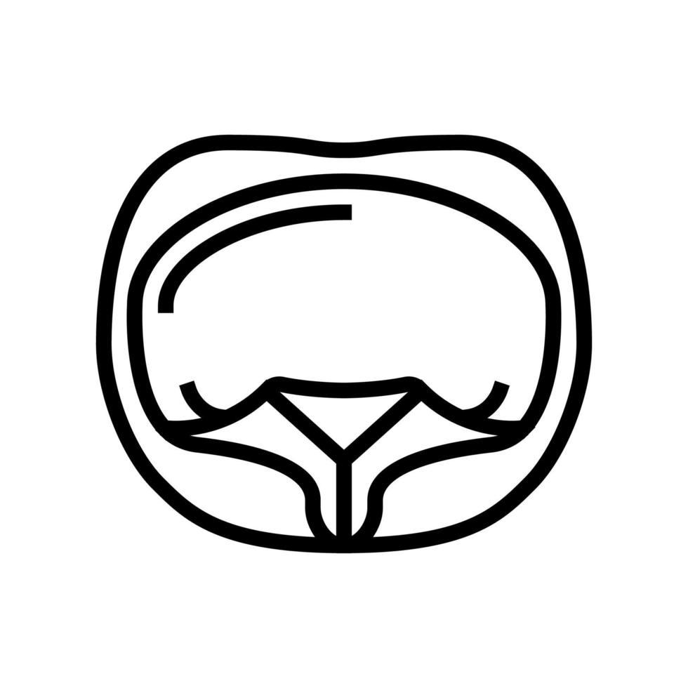 icono de línea de pasta tortellini ilustración vectorial vector
