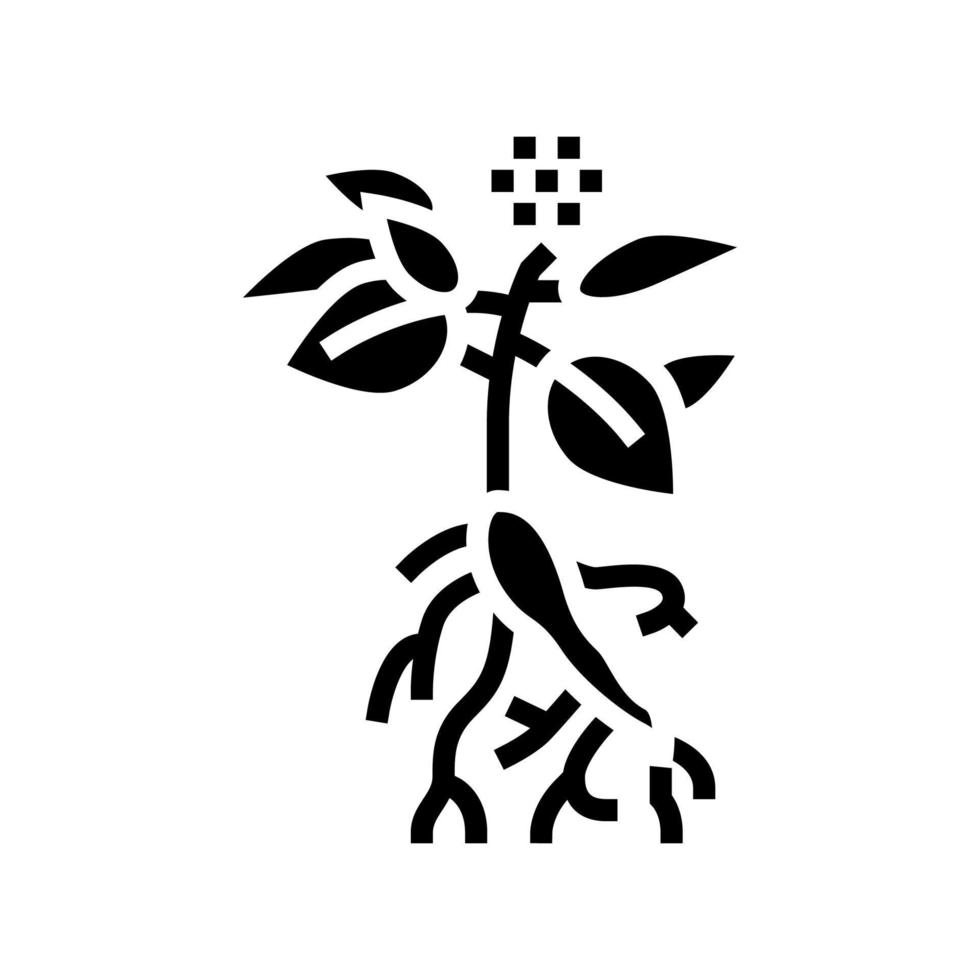 ilustración de vector de icono de glifo de planta de ginseng