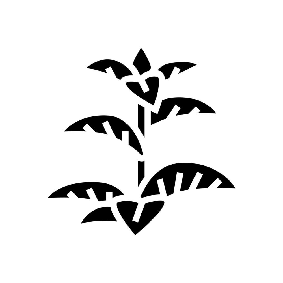 ilustración de vector de icono de glifo de hierba de menta