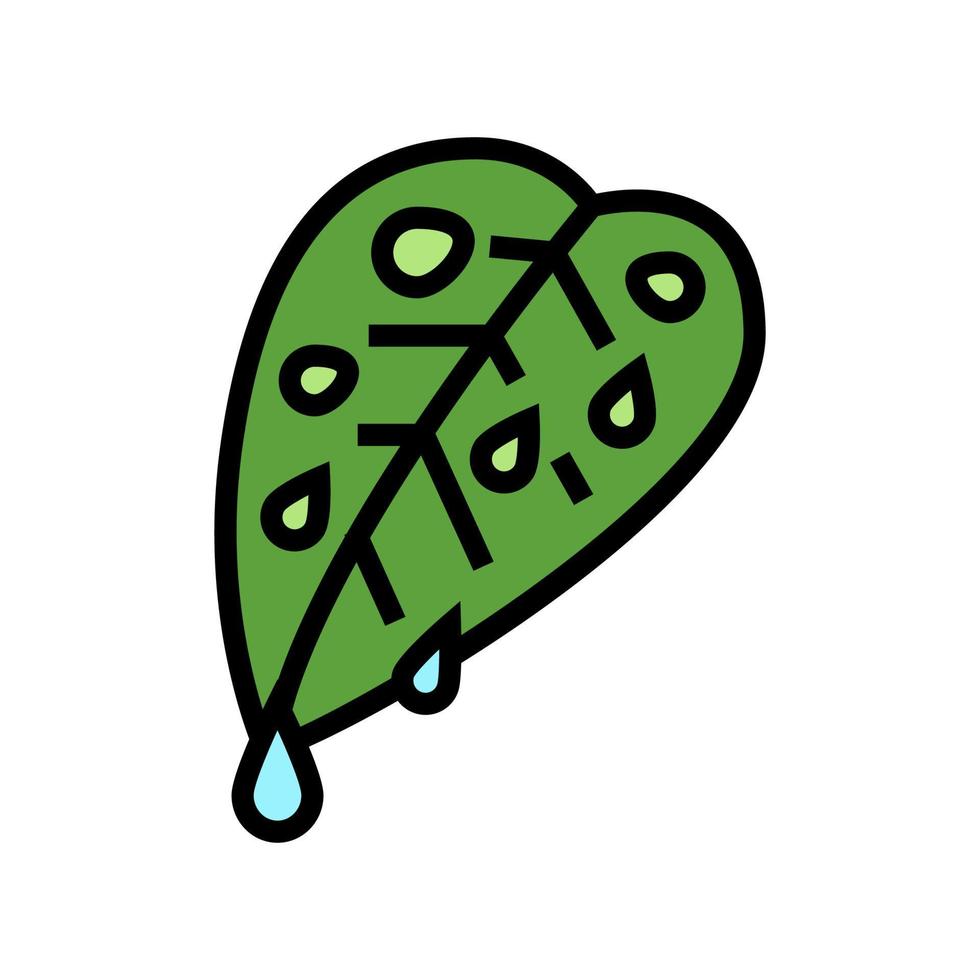 ilustración de vector de icono de color de hoja fresca